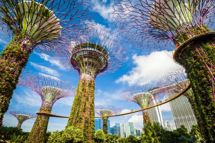 These are the most active investors in Singapore’s startups