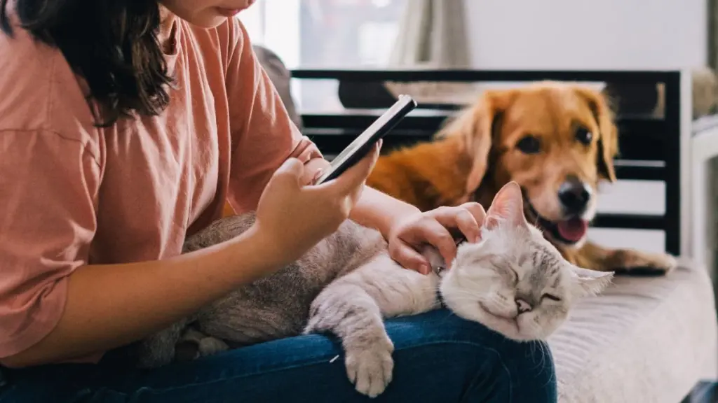 Singapore pet telehealth startup bags seed funding Singapore pet telehealth startup bags seed funding