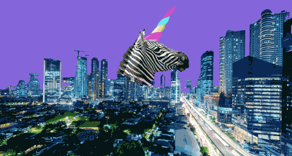 Indian unicorns exit Indonesia, raising questions over expansion strategy