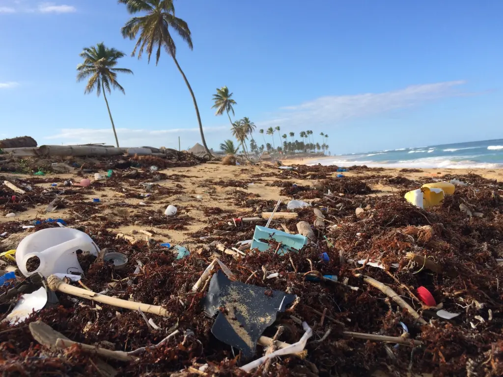 ocean waste