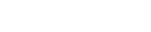Software Risk