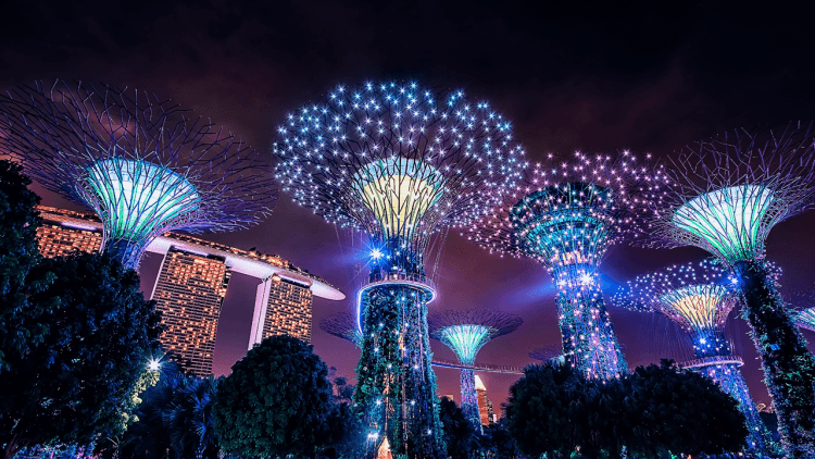 Singapore’s top-funded tech companies in the last decade Singapore’s top-funded tech companies in the last decade