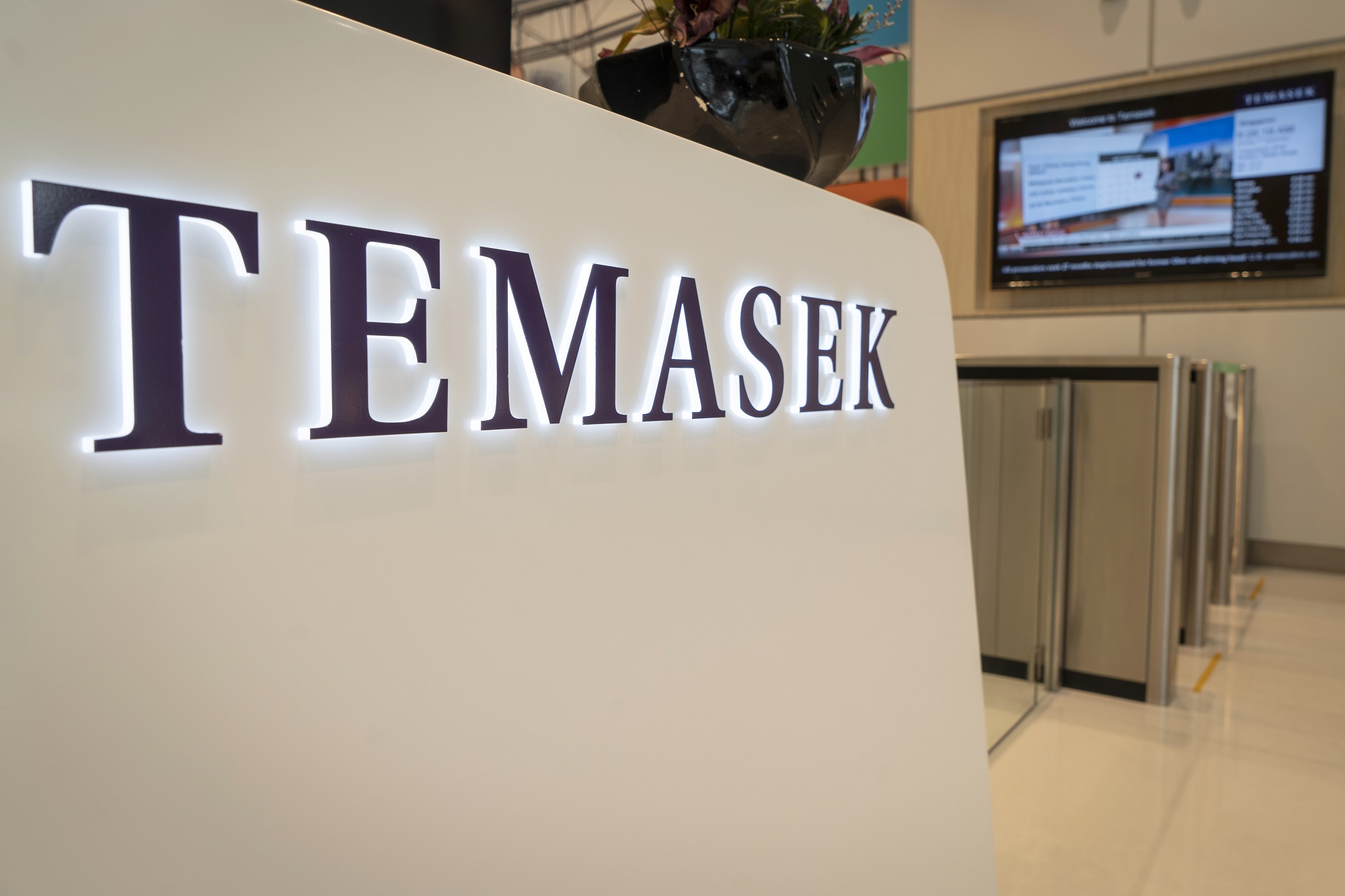 Temasek admits it could have been defrauded by FTX