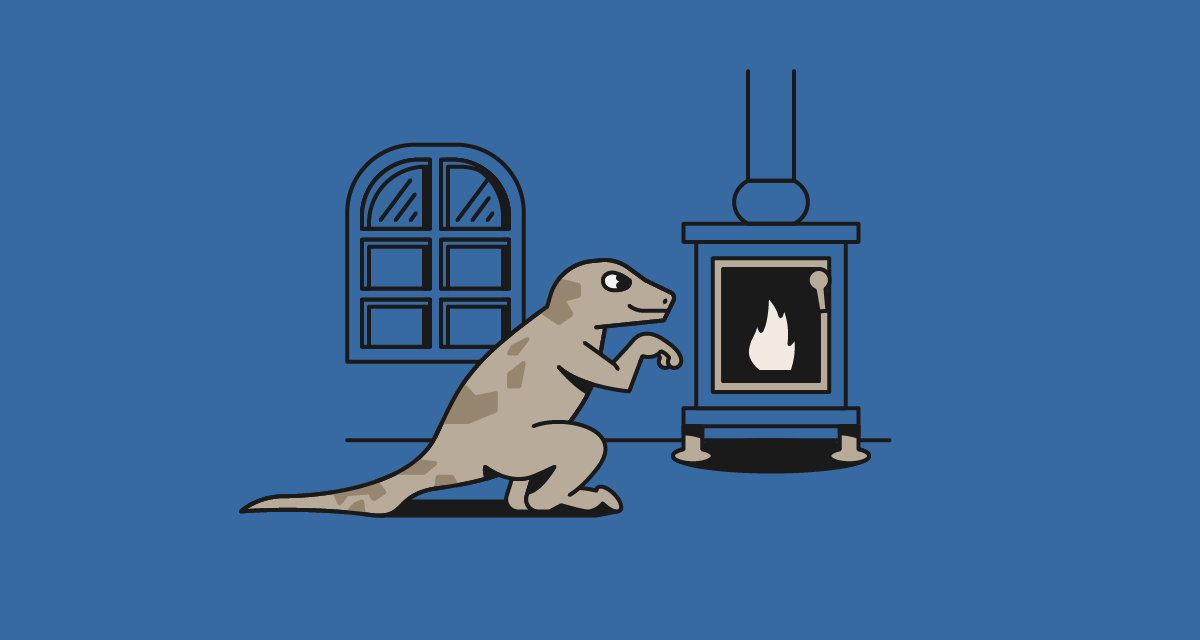 ‘What crypto winter?’ says CoinGecko