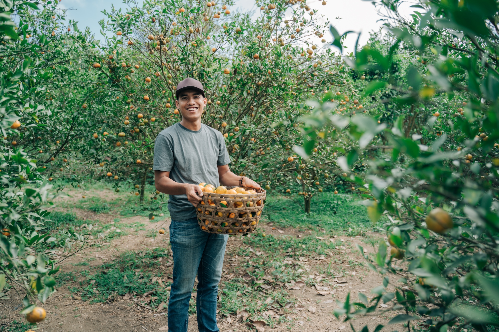 Farm-to-table startup raises $1.6m series A