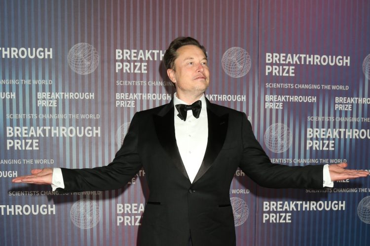 Investment firm delays Tesla fund after Musk's political move