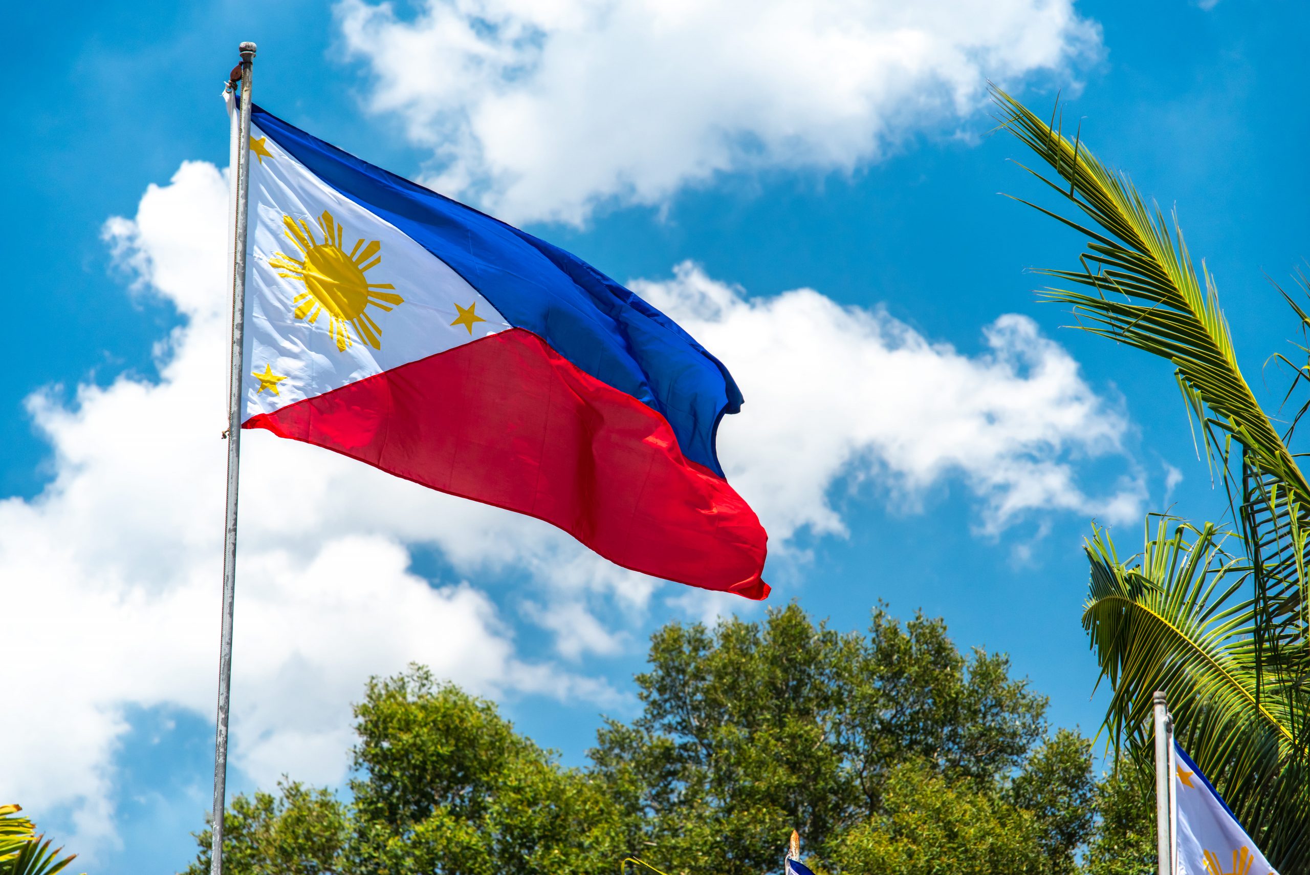 50 rising startups within the Philippines