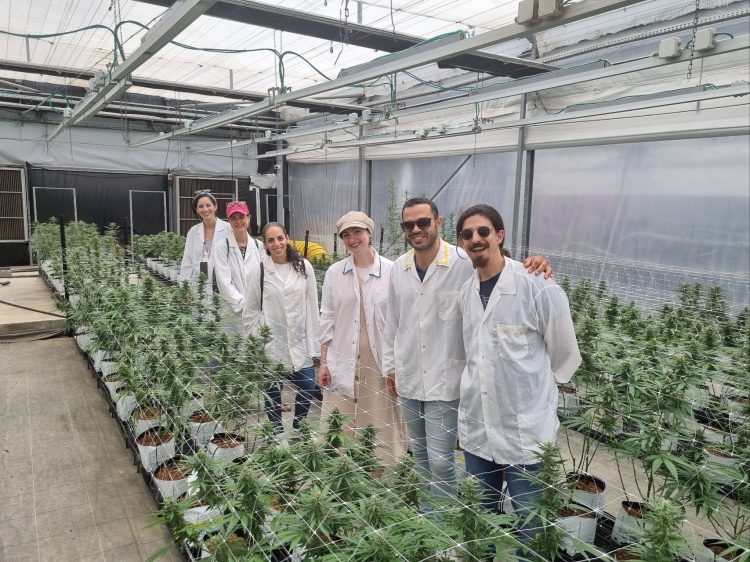 Israeli Bio Computer Israeli bio-insecticide startup secures $6.1m series A