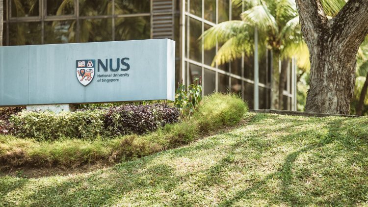 NUS School of Computing, OpenAI partner to develop AI graduates NUS School of Computing, OpenAI partner to develop AI graduates
