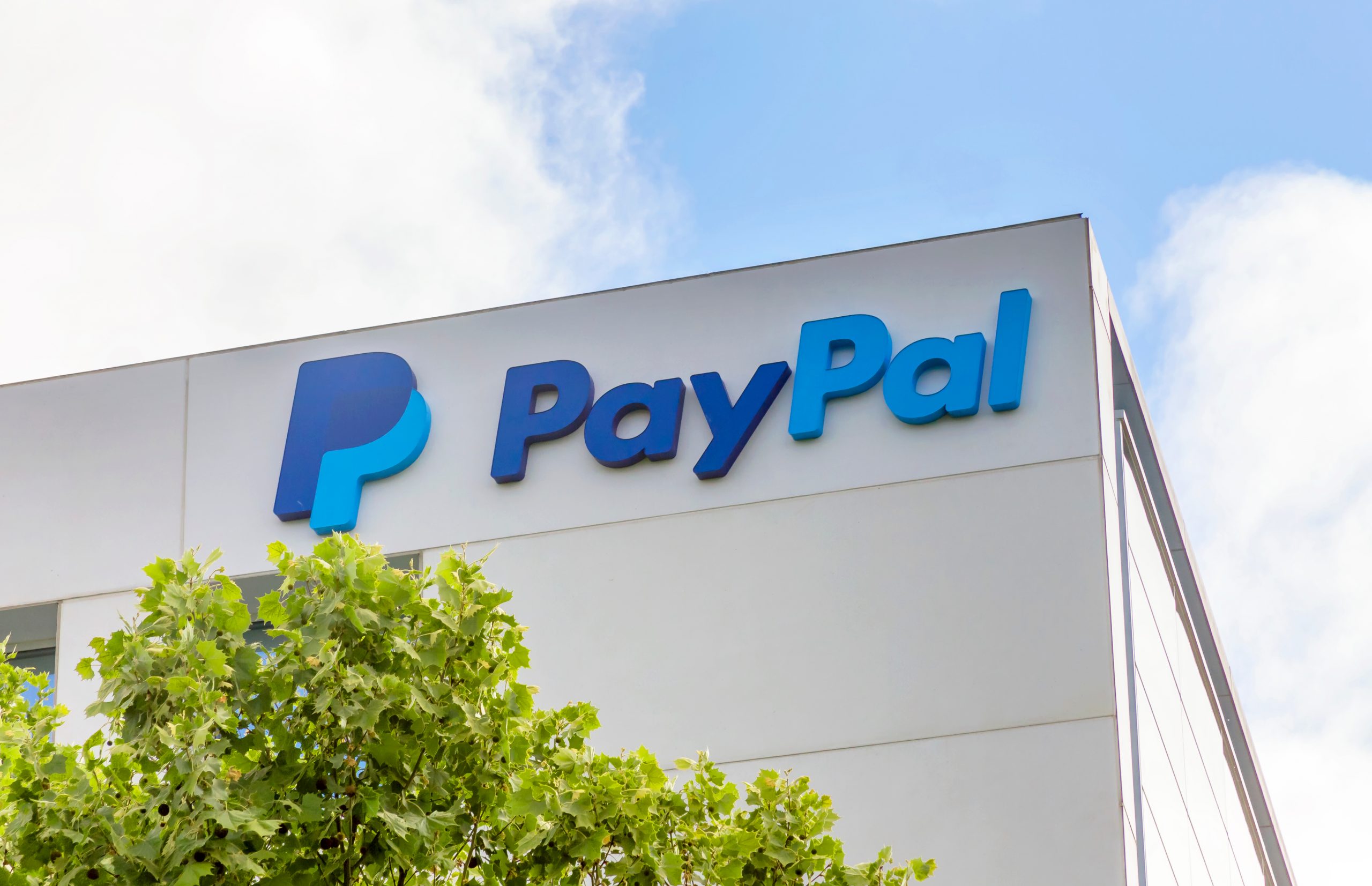 PayPal jumps 7% on potential Stripe acquisition report PayPal jumps 7% on potential Stripe acquisition report