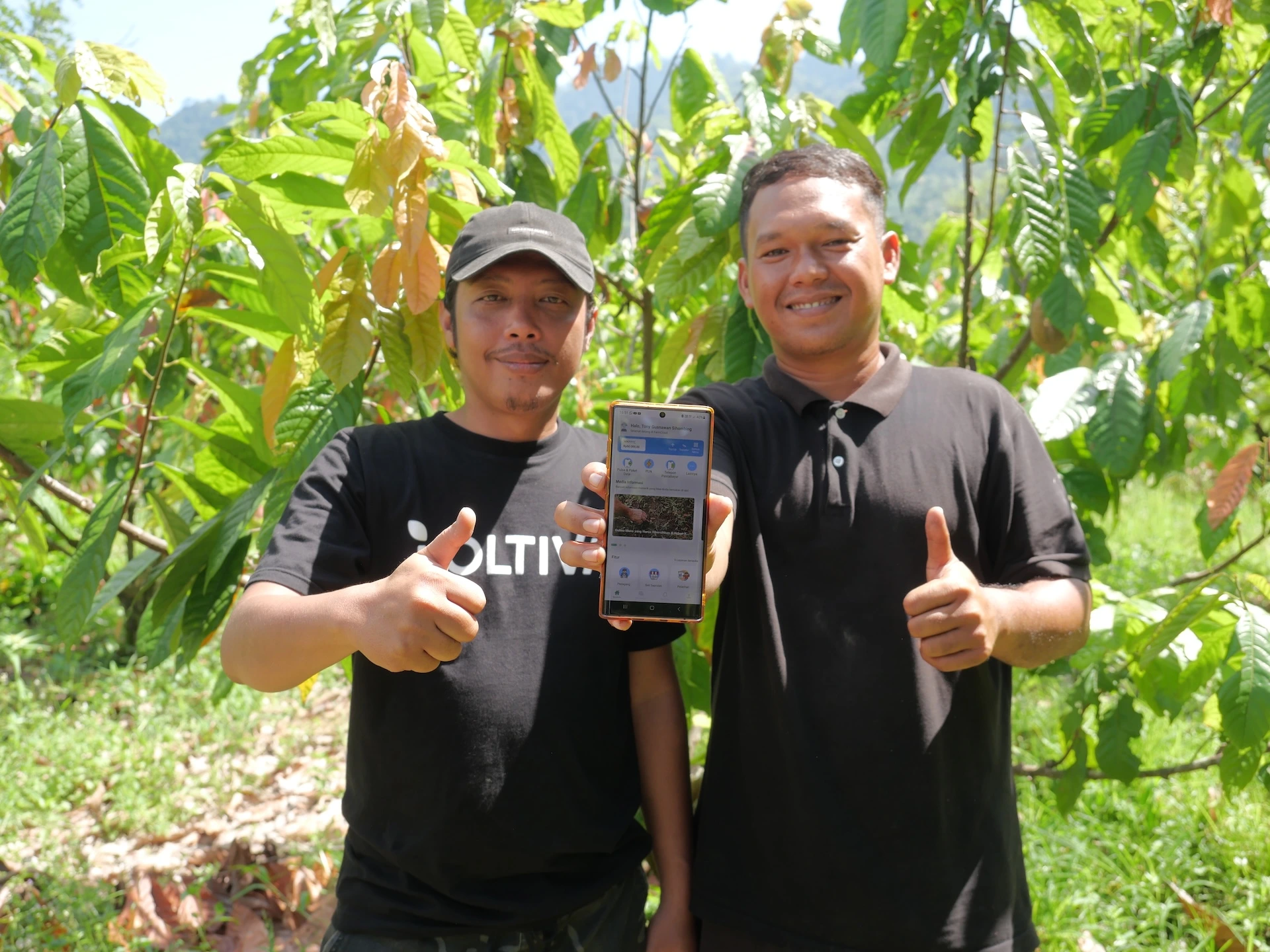 Swiss-Indonesian agritech firm Koltiva unveils AI traceability pilot