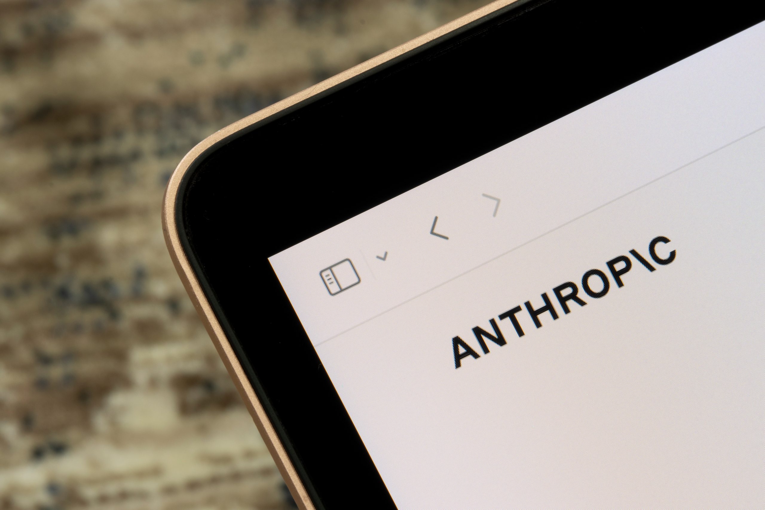 US security firm SailPoint teams up with Anthropic